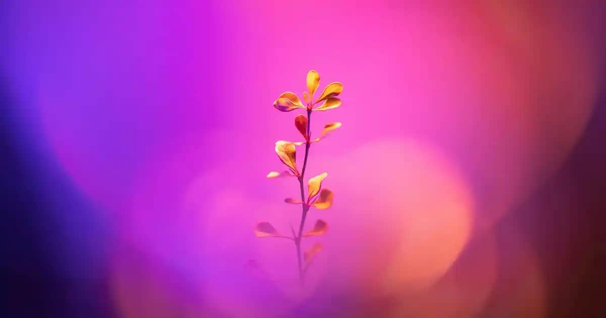 Migros ve Ace Markasıyla Güvenilir Ekonomik Alışveriş Rehberi