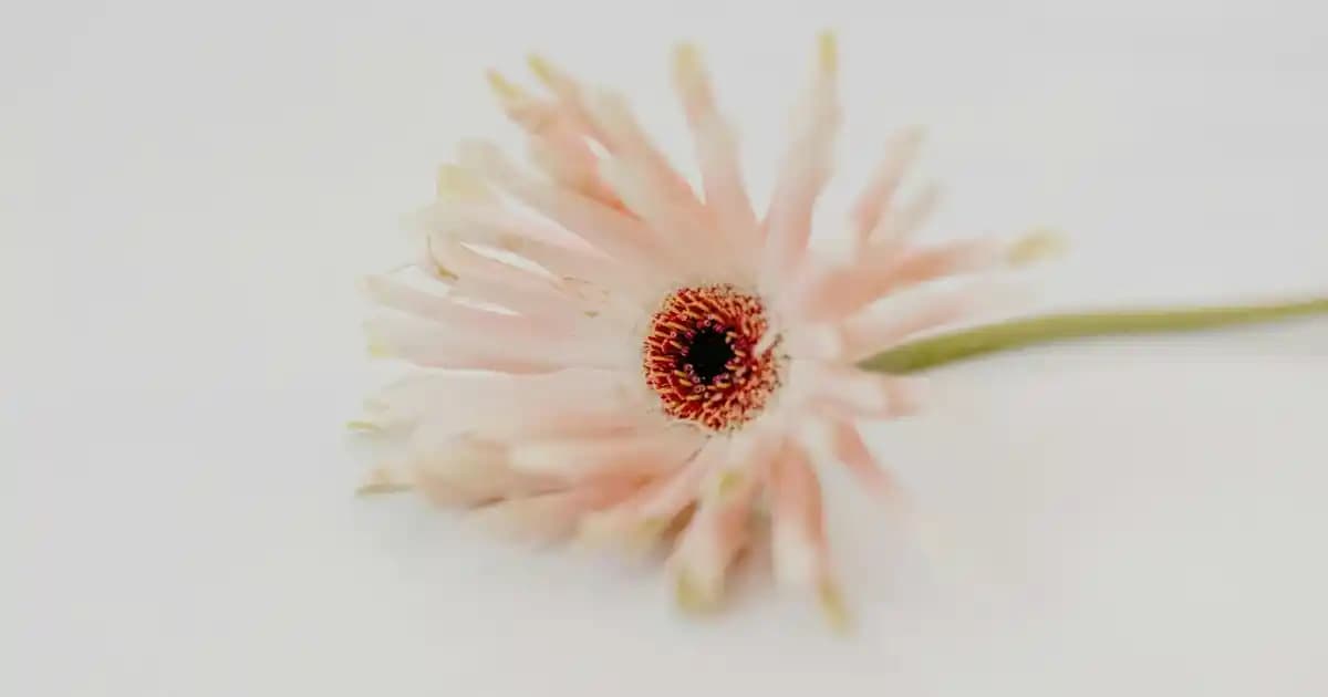 2025'te Migros Üyeliğiyle Alışverişinizde Kazanmanın 5 Sırrı