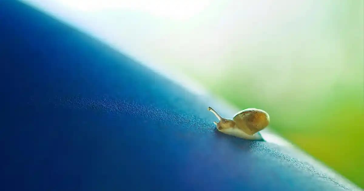 Motosiklet El Freni Aparatları: Güvenlik ve Konfor İçin Doğru Seçenekler