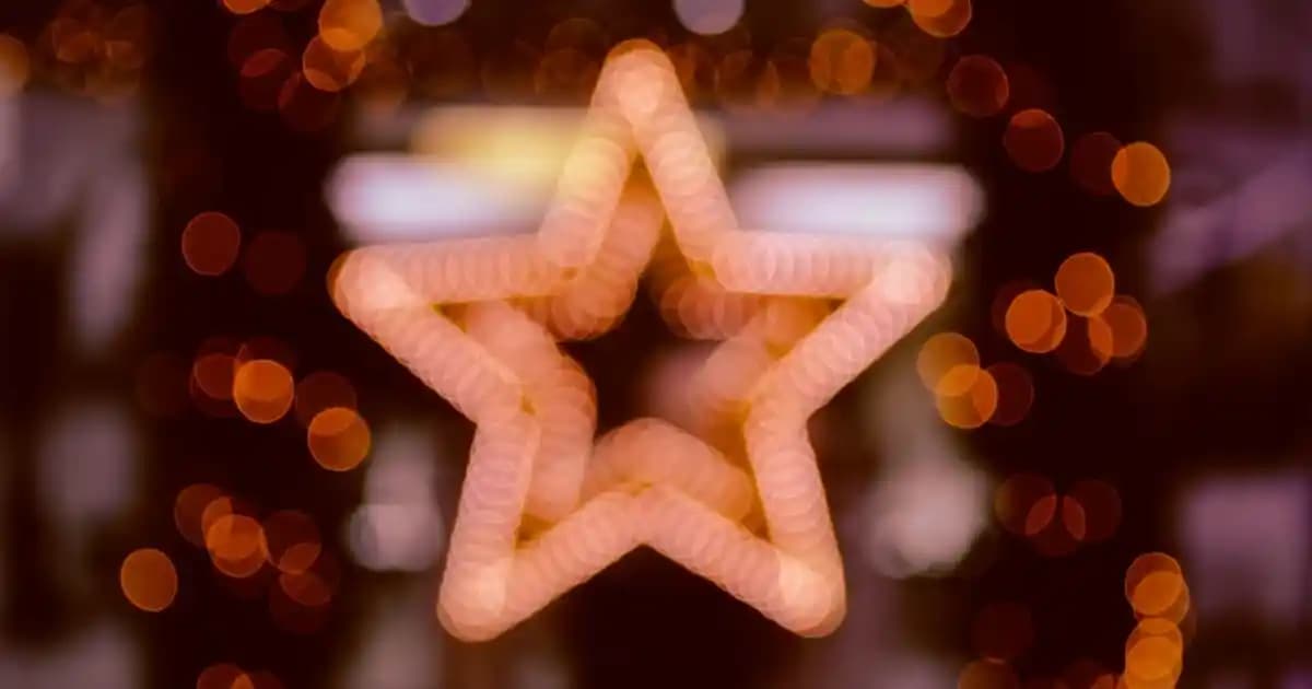 Mr. NO Tavuk Teriyaki ile Lezzetli ve Pratik Tavuk Yemekleri Alternatifleri