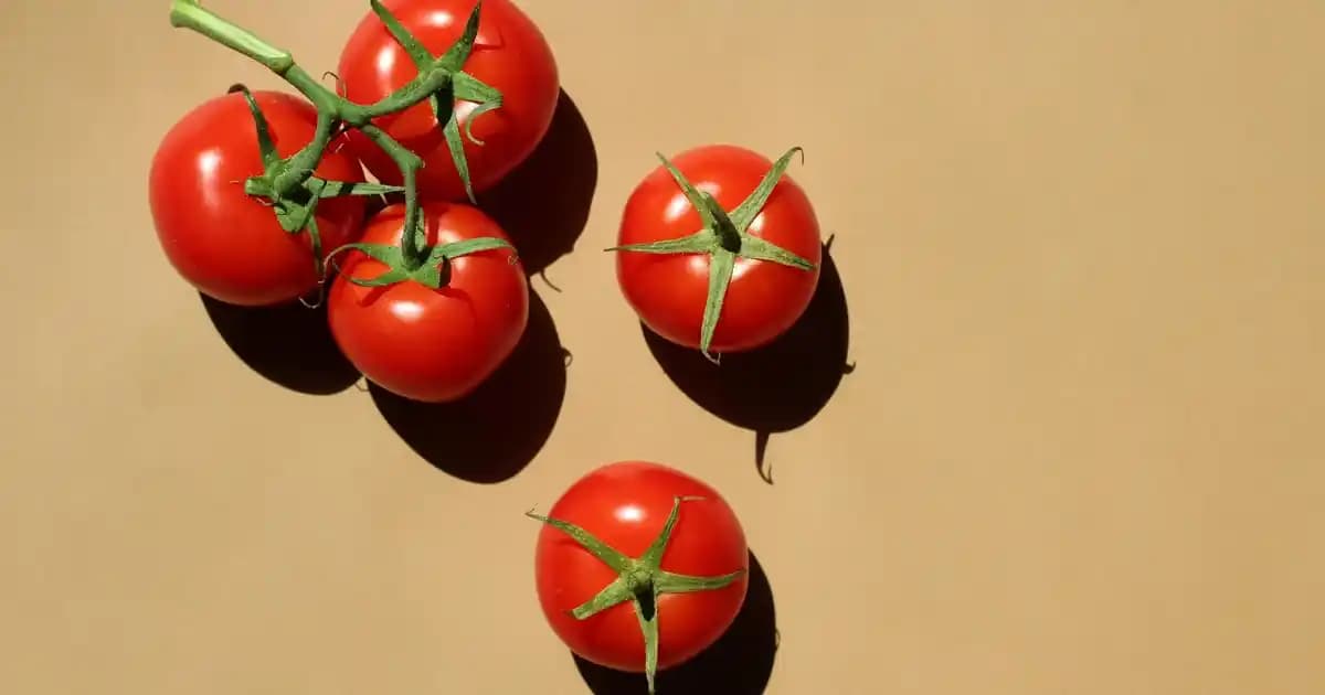 Mutfakta Yağ Sıçratmaz Kullanımı ve Güvenlik Artırıcı Çözümler Hakkında Bilgi