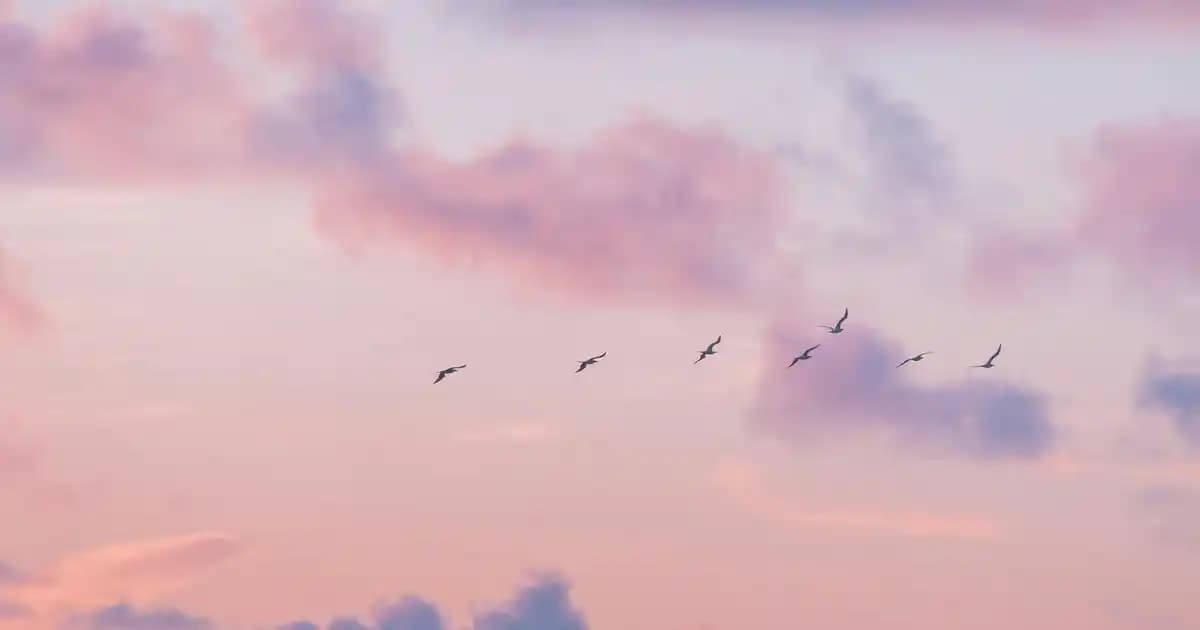 Nazilli'de Migros Mağazası: Geniş Ürün Yelpazesi ve Güvenilir Hizmetler