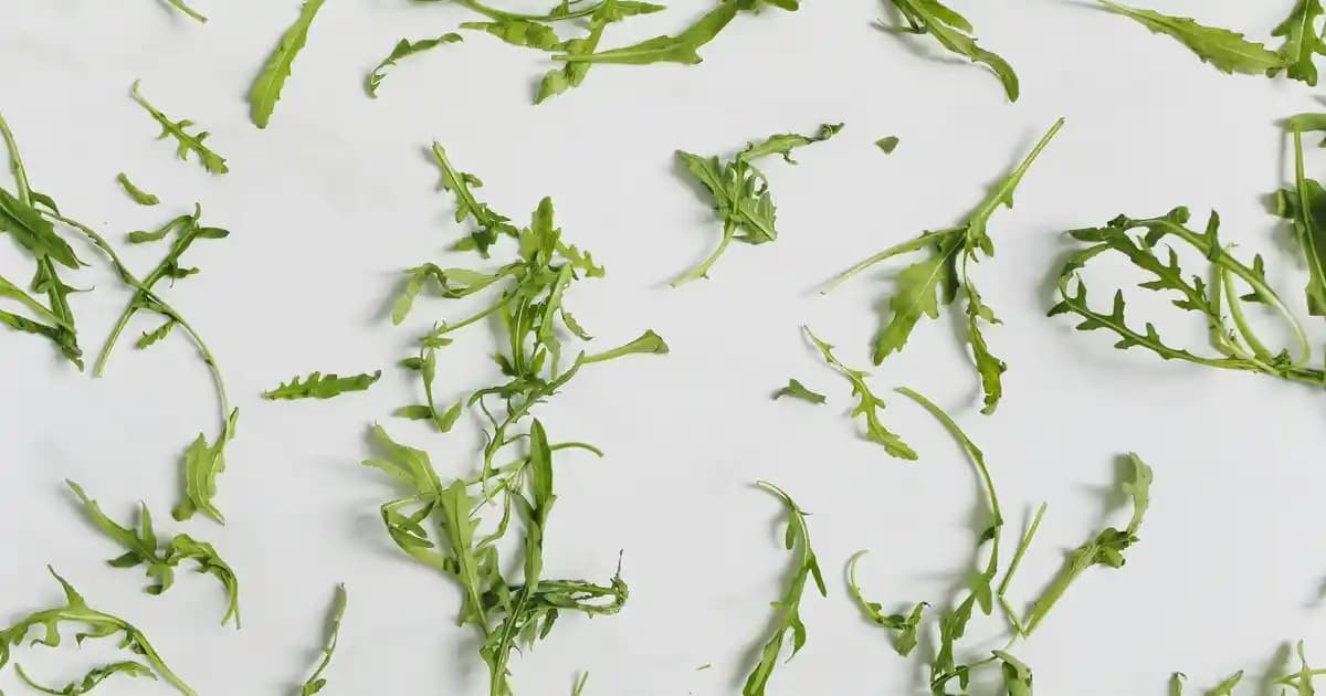 2025'te Nemolix Plus Kullanırken Bilmeniz Gereken 5 Kritik Yan Etki