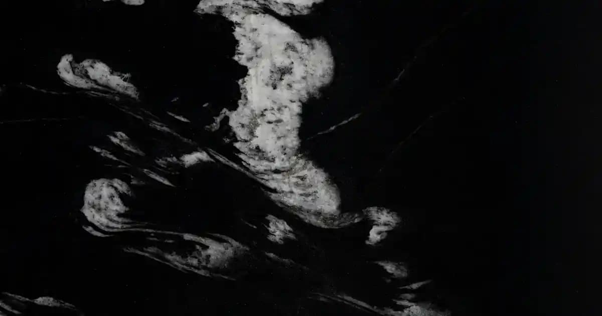 Neptune Balık Yağı: Yüksek Kaliteli Omega-3 Takviyesi ile Sağlığınızı Güçlendirin