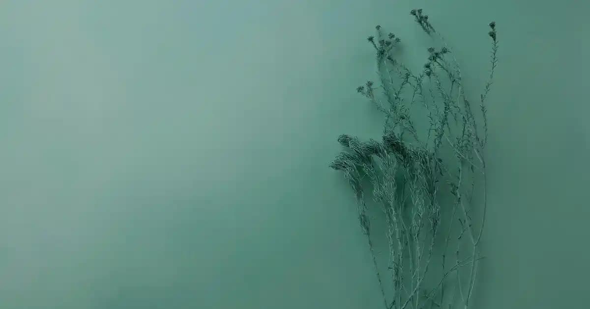 Östrojen Hormonu ve Kadın Sağlığı Üzerindeki Etkileri Analizi