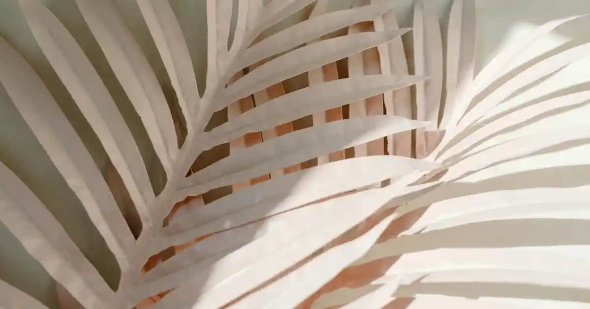 Pasta Sunum Fanusu Kullanımı ve Seçim Rehberi: Estetik ve Hijyenik Sunumlar