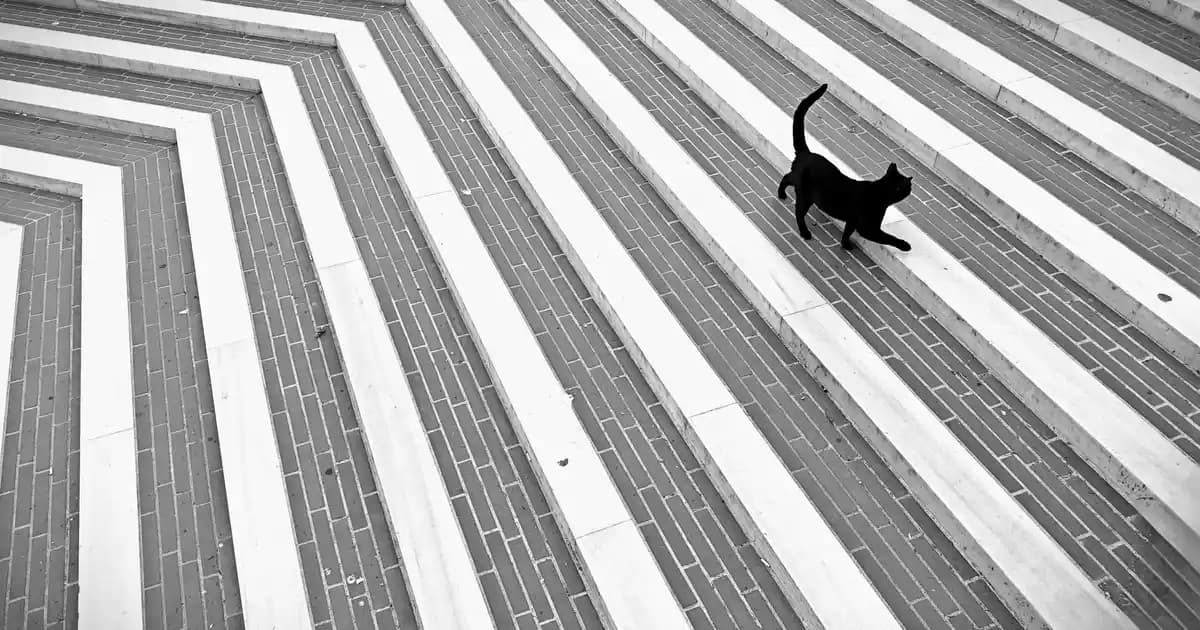 Perwoll 3 Lt Fiyatları ve Kalite Analizi: Ekonomik ve Güvenilir Giysi Bakım Ürünleri