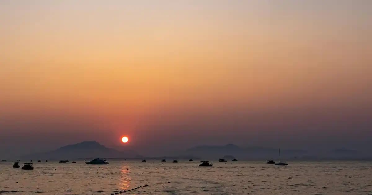 Petibör Bisküvi Fiyatları ve Marketlerdeki Güncel Durum Analizi