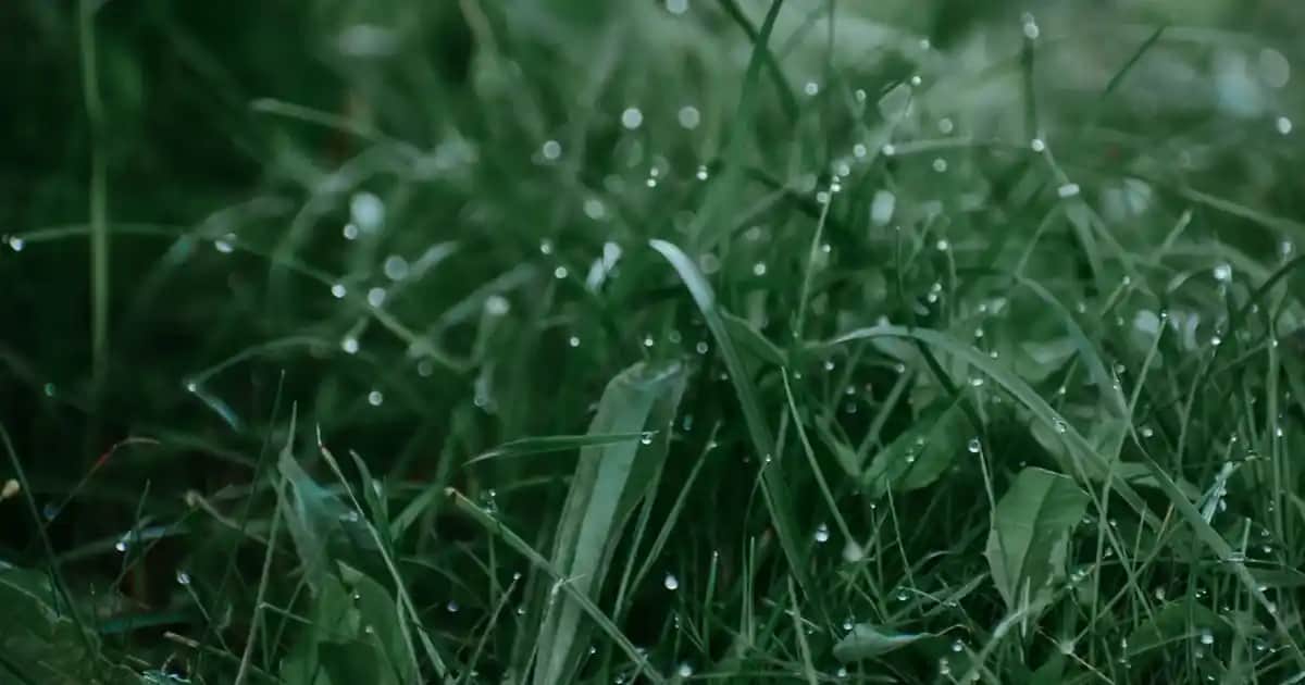 Pocket yaylı yatakların özellikleri ve kullanıcı yorumlarıyla kaliteli uyku deneyimi