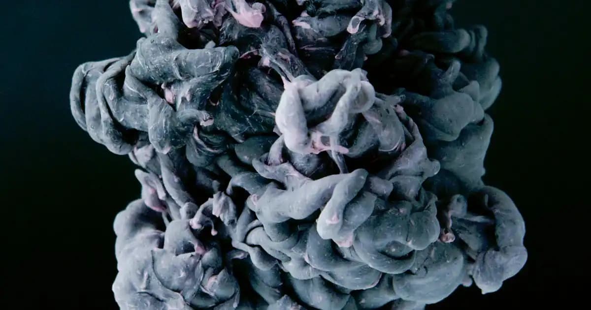 Primroz Yağı Nedir? Sağlık ve Cilt İçin Doğal Bir Takviye Seçeneği