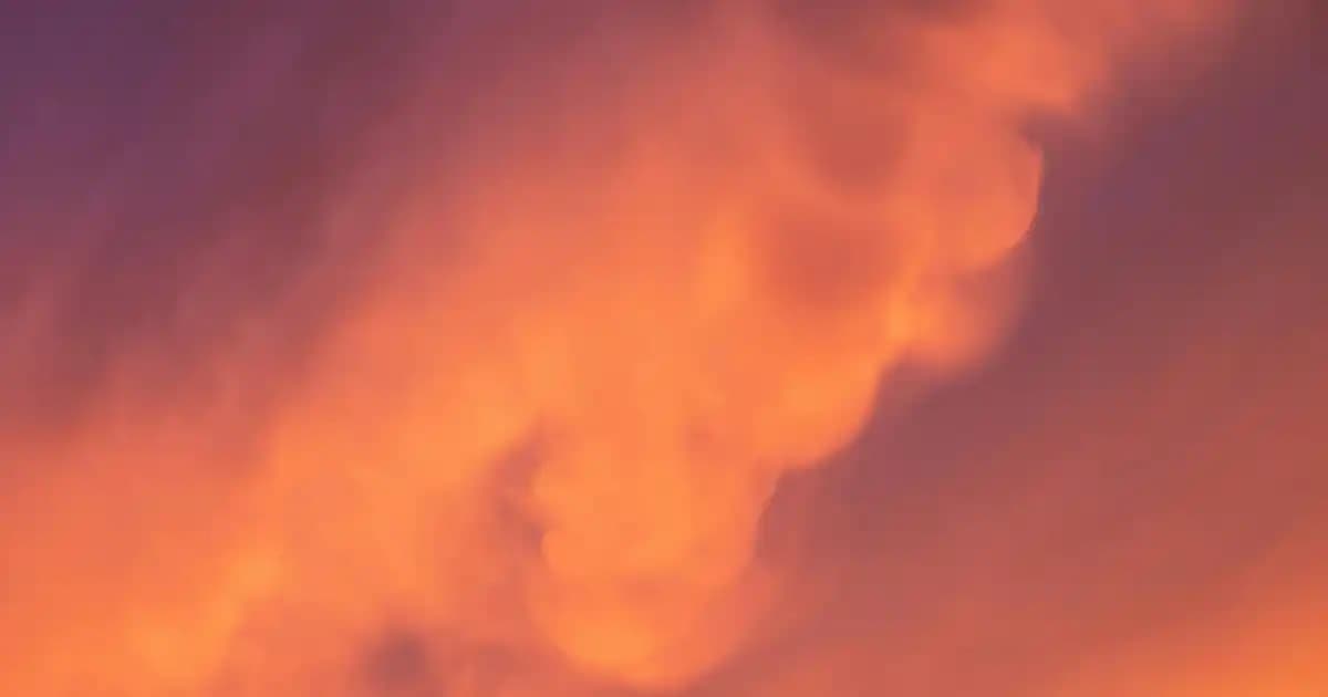 Renax Markasının Süpermarketlerdeki Yeri ve Temizlik Ürünleri Hakkında Bilmeniz Gerekenler