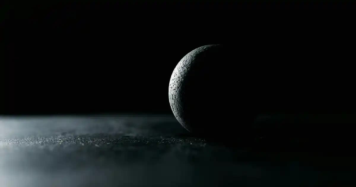 2025'te Resveratrol ile Sağlığınızı Doğal Yollarla Güçlendirin