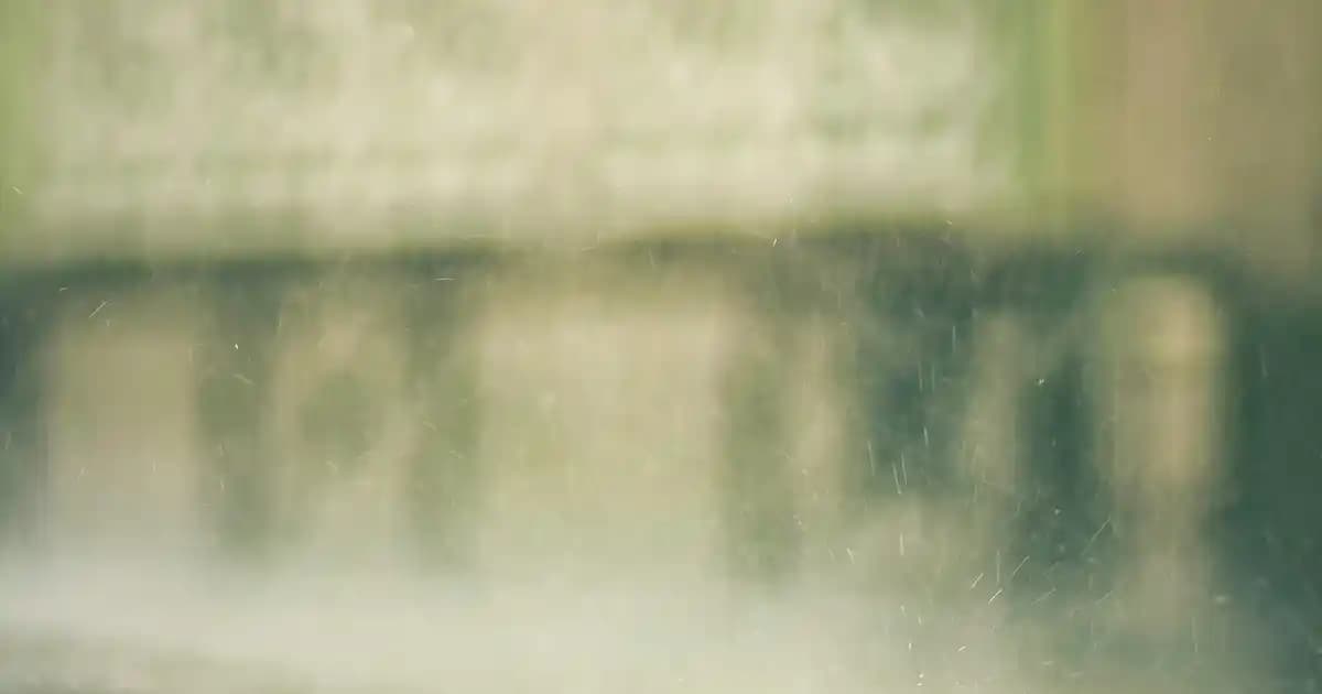 Rezene ile Sağlığınızı ve Sofranızı Değiştirecek 2025 Rehberi