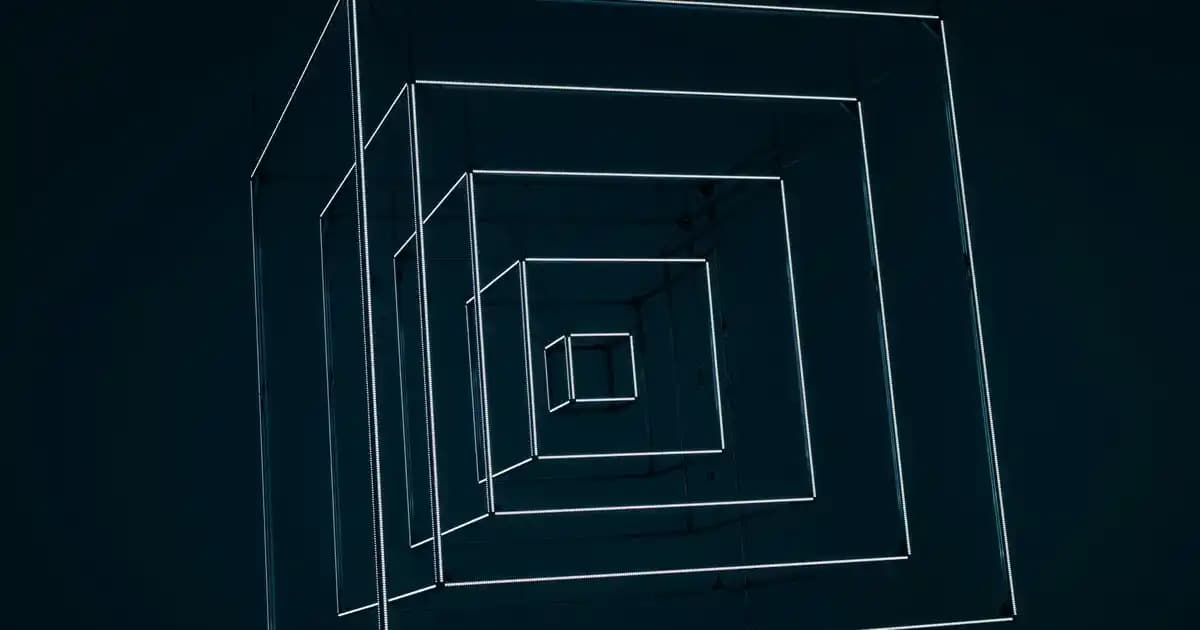 Rinso Siyah Sıvı Deterjan ile Siyah Giysilerin Renk ve Parlaklığını Koruma