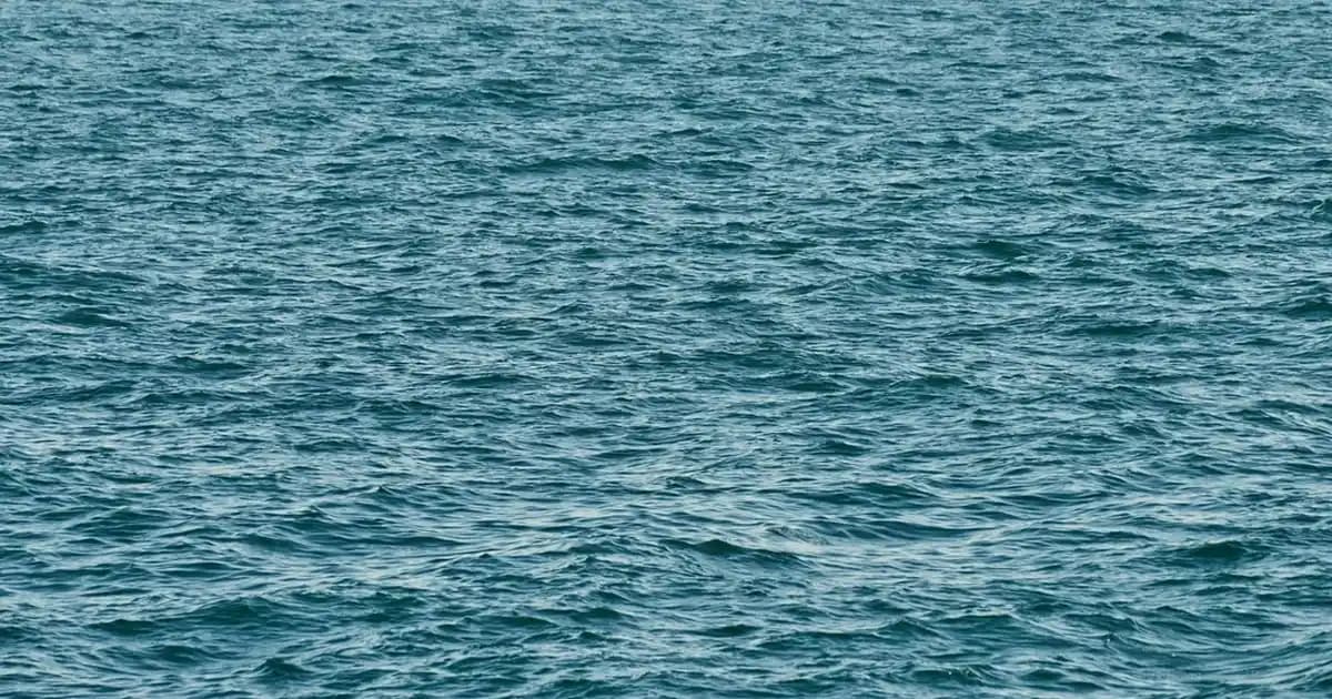 Rocco Şekerleri: Meyveli ve Ekşi Aromalarıyla Tatlı Keyfi ve Kaliteli Seçenekler