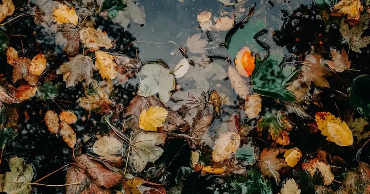 Saat Setleri: Şıklık ve Fonksiyonelliğin Bir Arada Sunulduğu Aksesuarlar