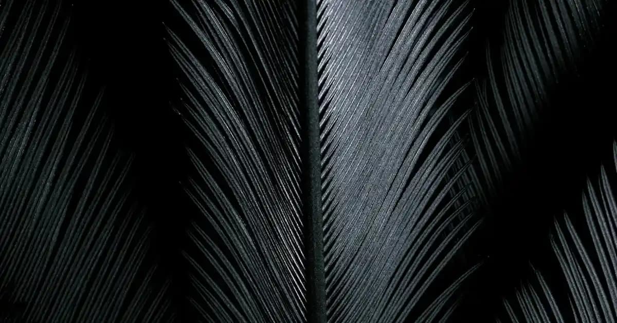 Sakarya'da Evde Paketleme İşiyle Ek Gelir Elde Etmenin Yolları ve İpuçları