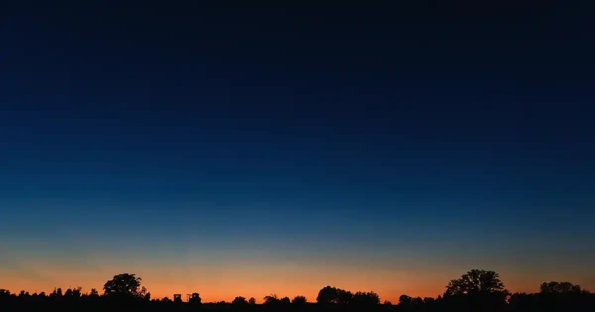 Samsun'da 2. El Araba Alırken Dikkat edilmesi Gerekenler ve Piyasa Analizi