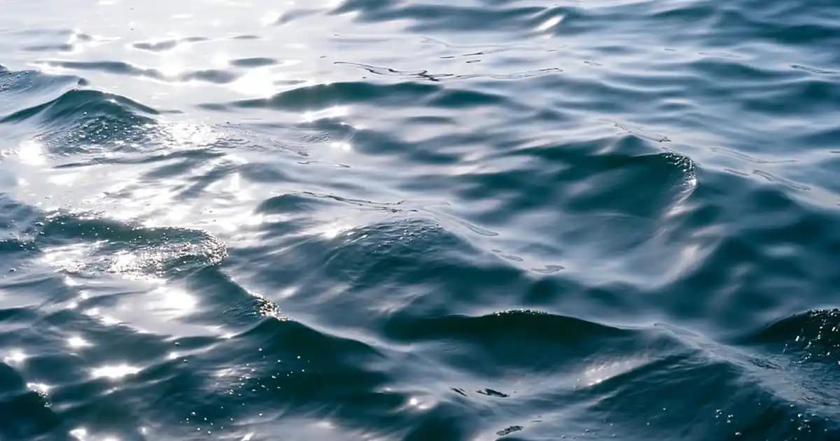 Sarelle Gofret Çeşitleri ve Lezzetleri: Kaliteli ve Pratik Tatlı Atıştırmalıklar