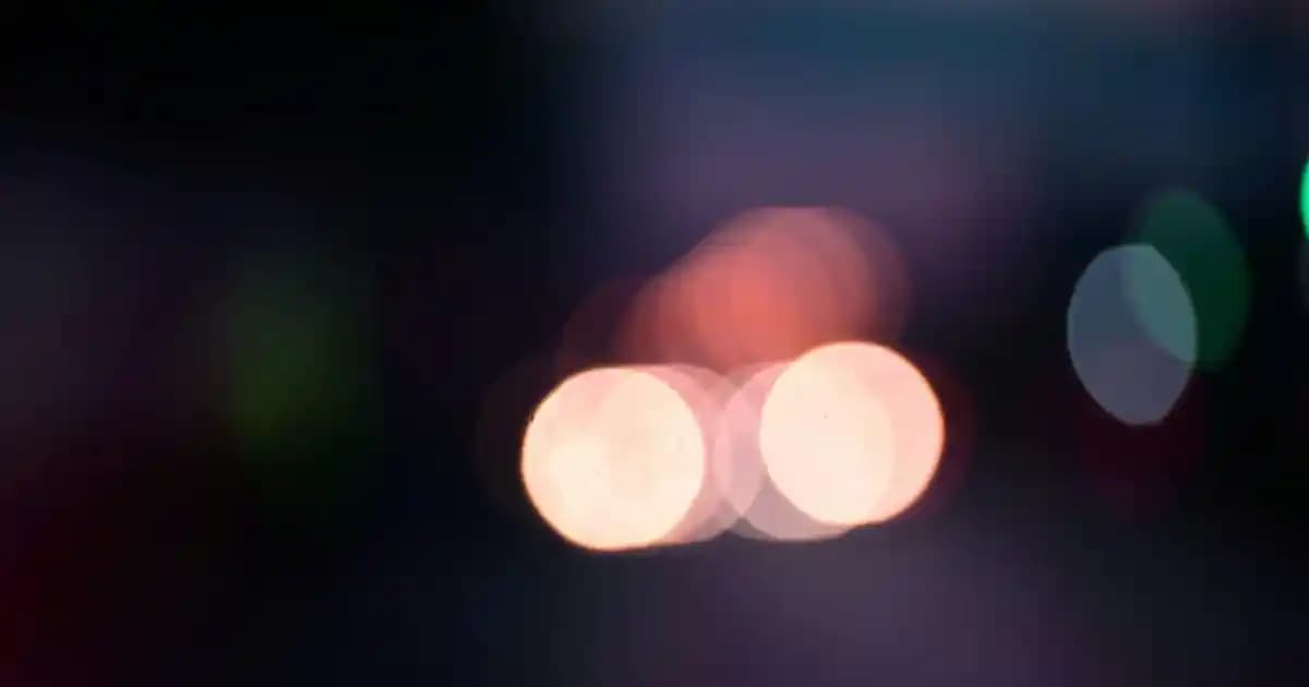 Sarımsaklı peynir nedir, nasıl seçilir ve en lezzetli tarifler nasıl hazırlanır