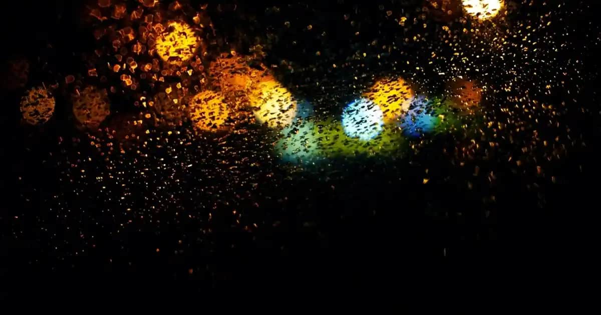 Saw Palmetto Fiyatları ve Güvenilir Satıcılar: Sağlık ve Ekonomiyi Dengeleyen Bilgiler