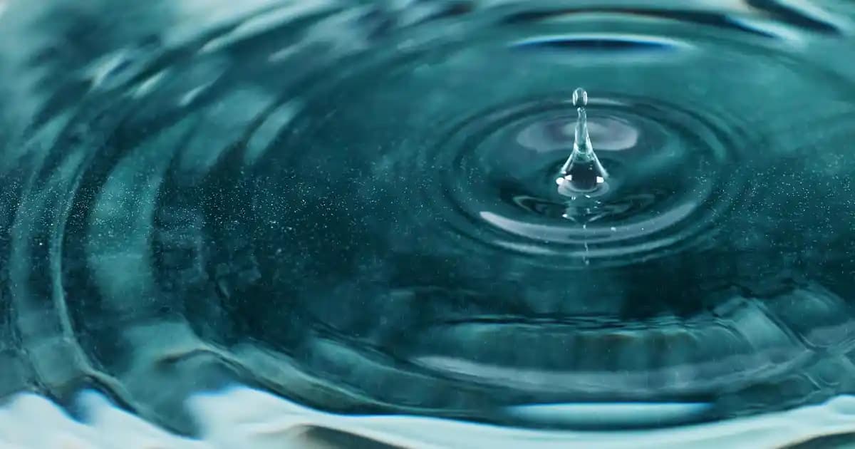 2025'te Mutfaklarda Devrim: Schafer Chef Blend Mega Blender Set-Rosegold