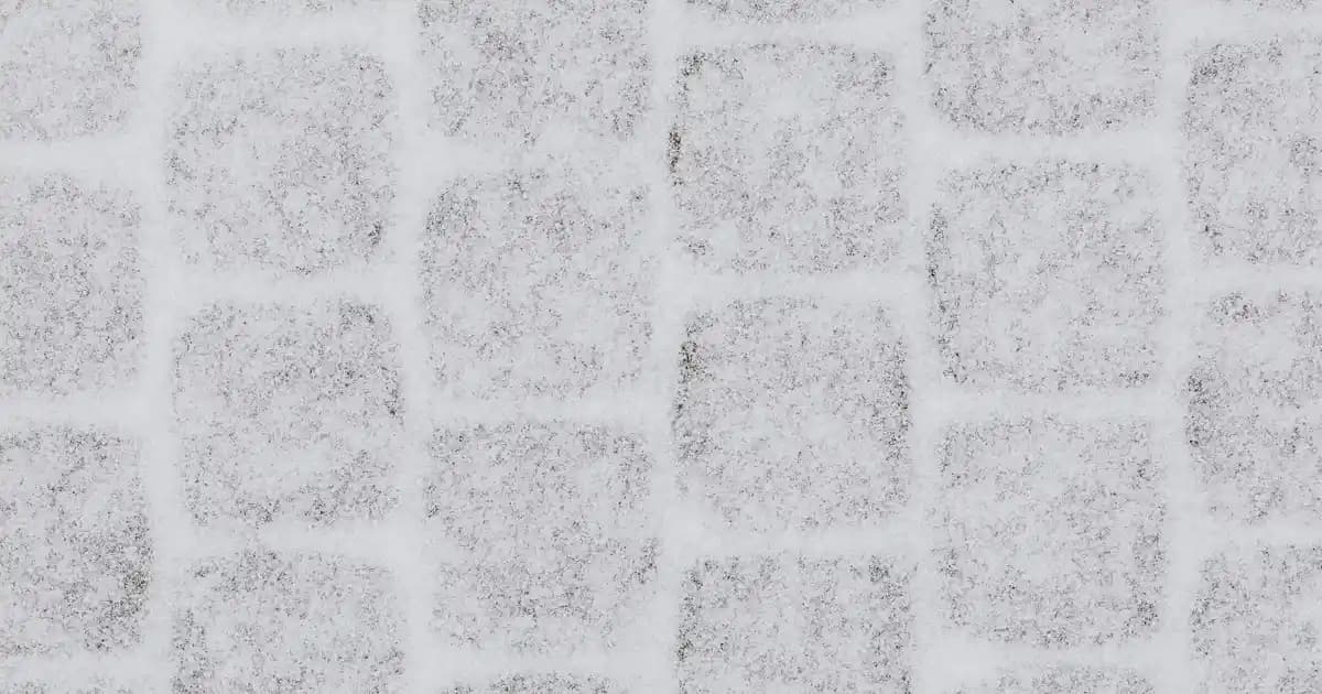 Sebze Tozu Nedir ve Sağlıklı Yaşamda Nasıl Kullanılır