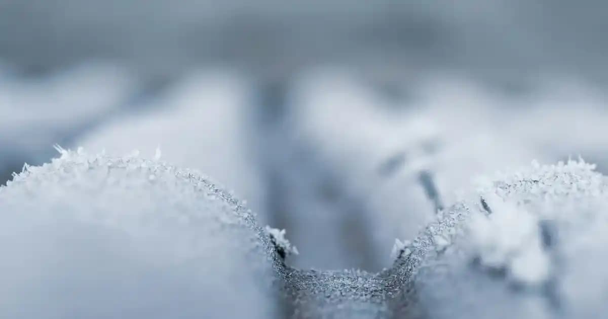 Side’de Migros Mağazaları ve Alışveriş Deneyimi Hakkında Kapsamlı Rehber