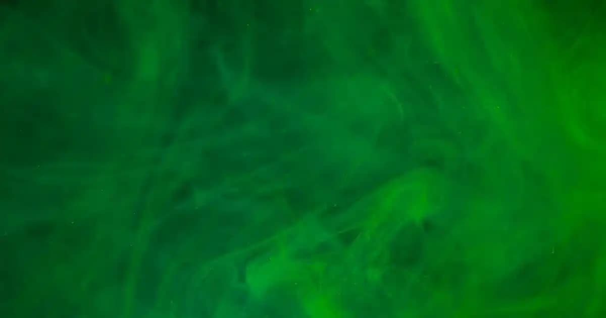 Silopi’de Migros Mağazaları: Konum, Çalışma Saatleri ve Ürün Çeşitliliği