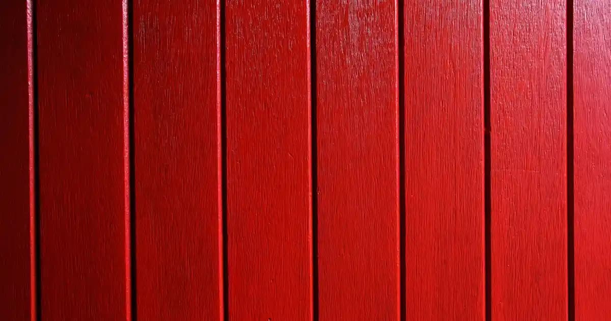 Sinbo ve Migros'ta Uygun Fiyatlı Blender Modelleri ve Özellikleri