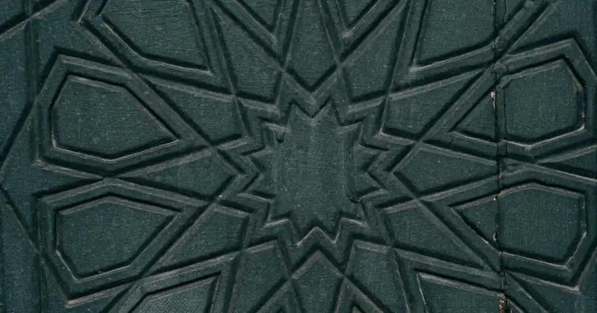 Solgar markasıyla enginar takviyeleri ve karaciğer sağlığı üzerine kapsamlı bilgiler