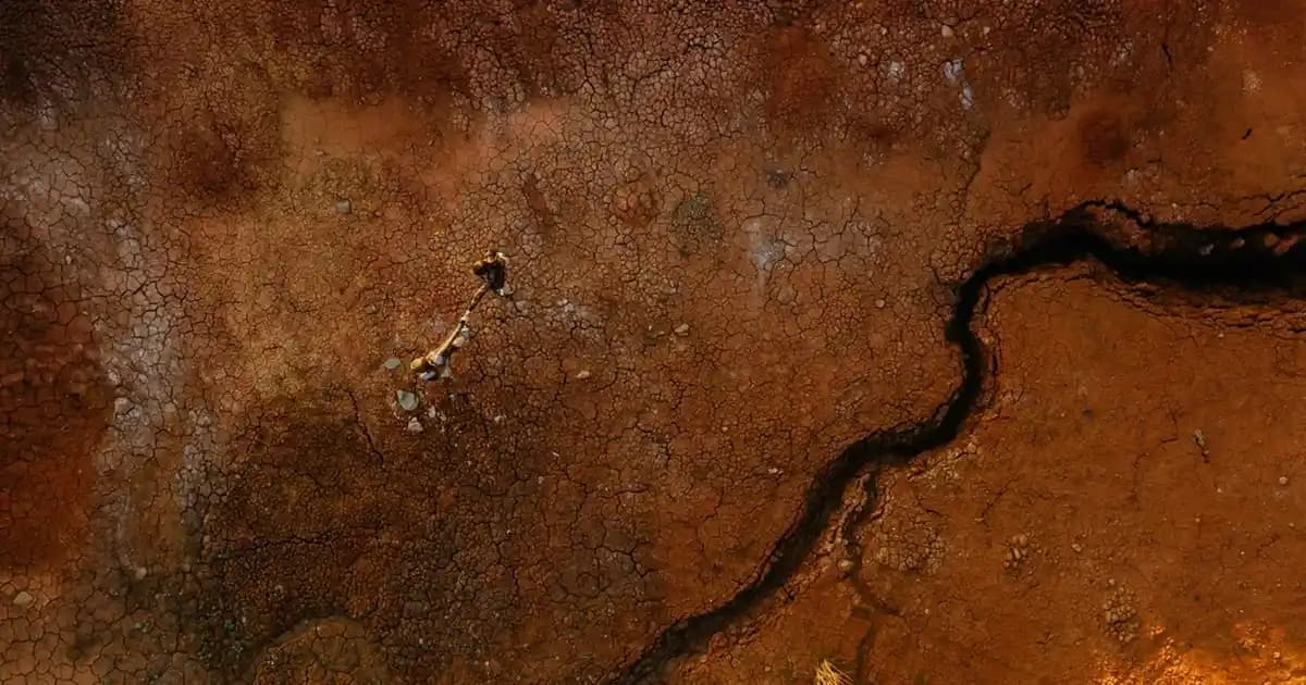 Süpermarketlerde Balık Resimleriyle Çekici ve Bilgilendirici Reyonlar Oluşturma