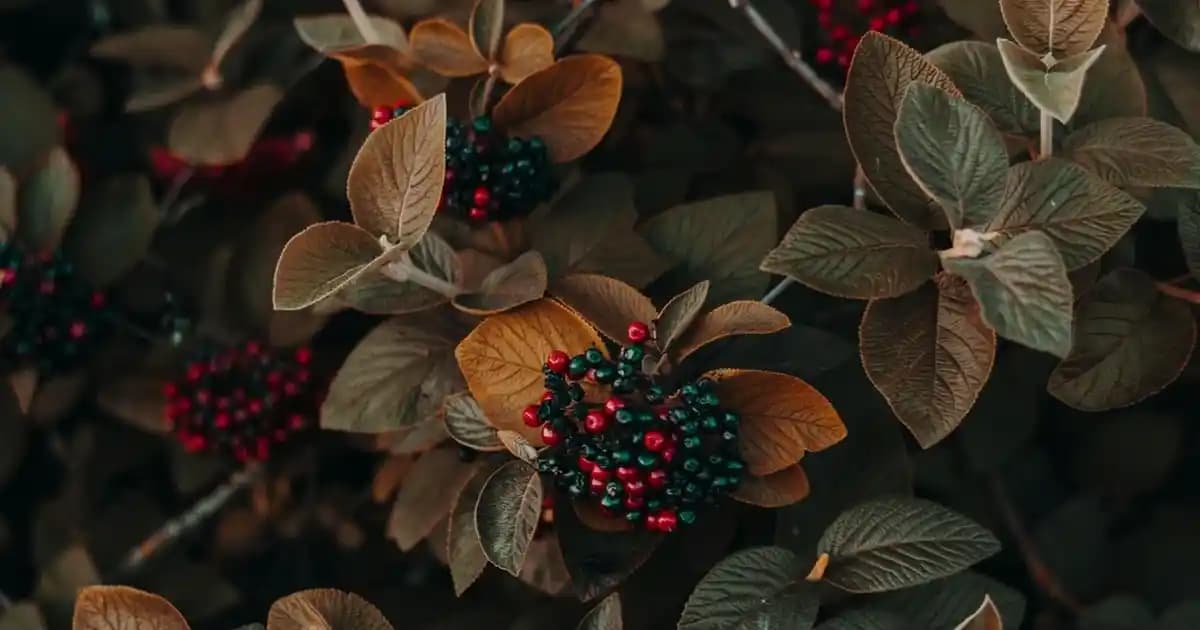 Süpermarketlerde Bulunan ve Sağlığımıza Faydalı Olan Magnezyum İçeren Yiyecekler