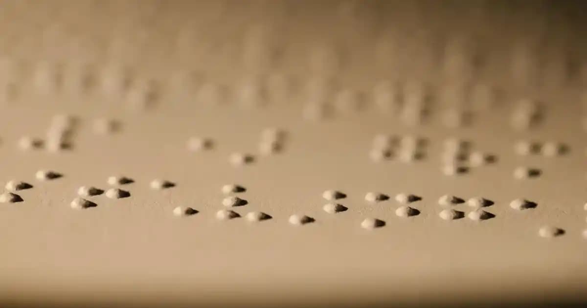 2025'te Süpermarketlerde Balık Yağı Seçmenin 5 Kritik Sırrı