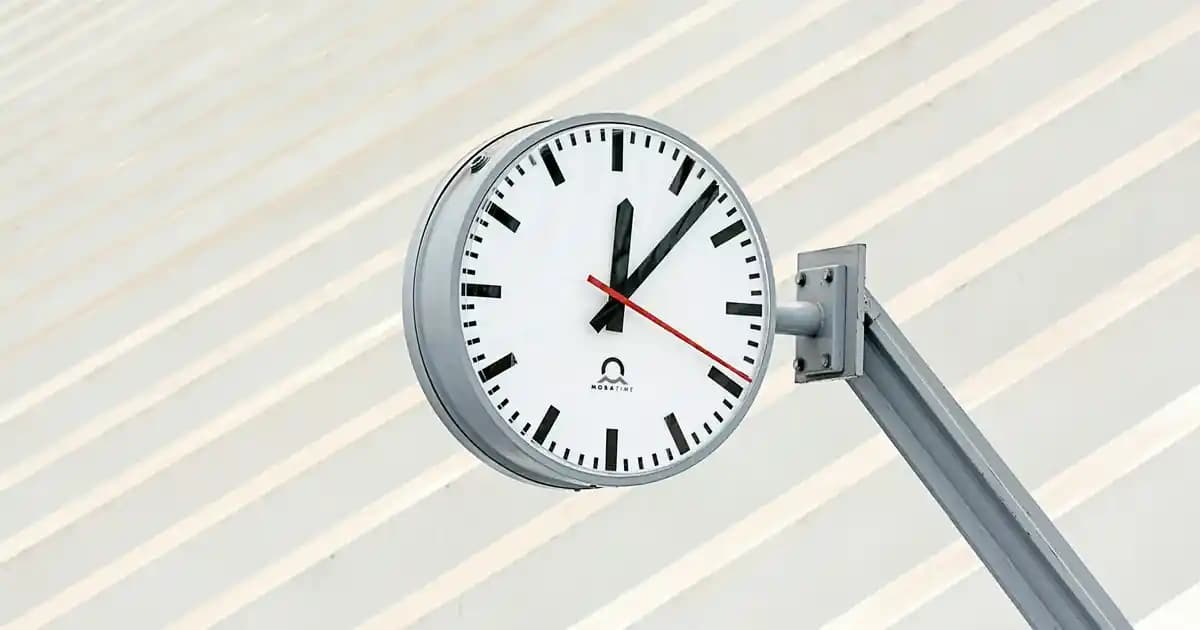 Süpermarketlerde Karşımıza Çıkan Vasa ve Sağlık Üzerindeki Faydaları