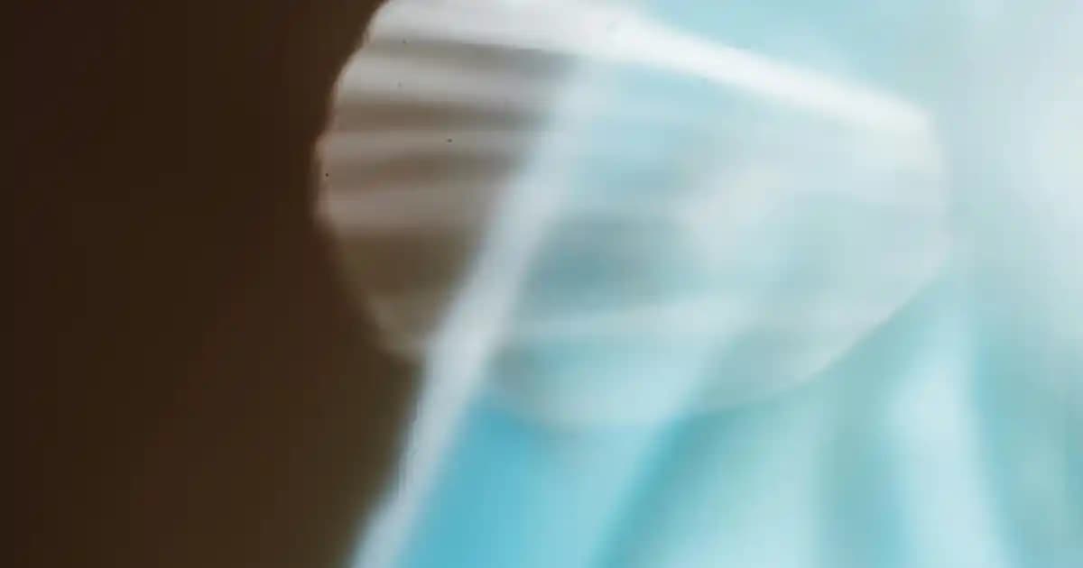 Süpermarketlerde Kokina Çiçeği Satışları ve Yılbaşı Dekorasyon Trendleri 2024