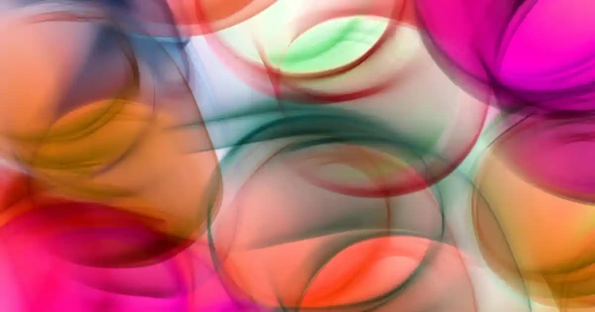 Süpermarketlerde Tavuk Cinsleri ve Fiyatları Hakkında Güncel Bilgiler ve Tavsiyeler