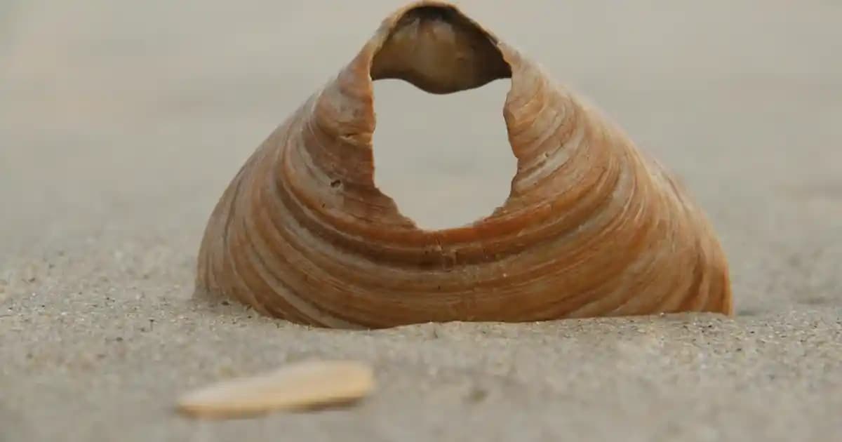 2025'te Enerjinizi Zirveye Taşıyacak Supradyn All Day Sırrı