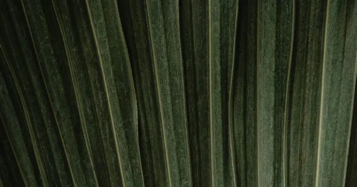 Tavuk Sosları: En Pratik Tariflerle Tavuklarınızı Lezzetlendirin