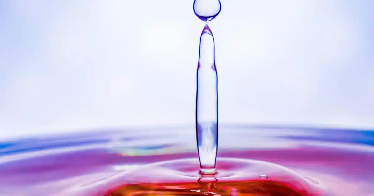 Tavukların Beslenme Alışkanlıkları ve En Sevdiği Yiyecekler Hakkında Detaylı Rehber