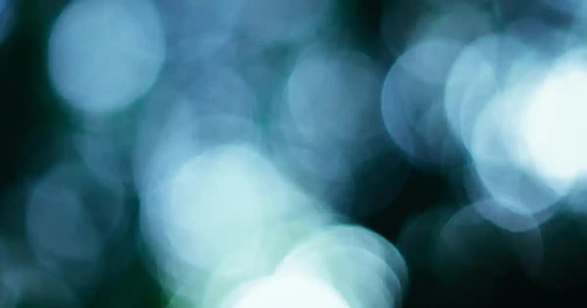 Teff Unu Nedir ve Sağlıklı Yaşam İçin Neden Tercih Edilmeli