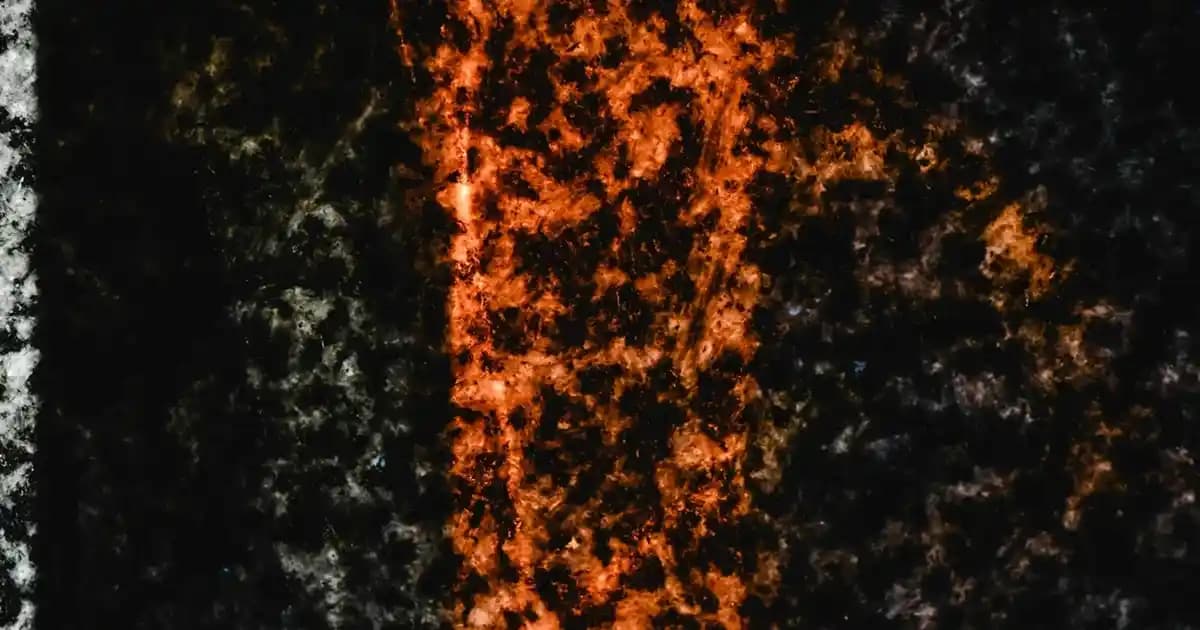 Tek Kullanımlık Havlu 100 Adet: Hijyenik ve Ekonomik Çözüm Seçenekleri