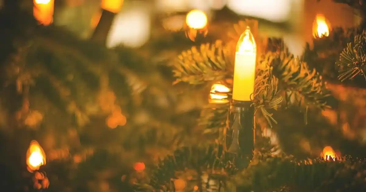 Terletmeyen Namaz Elbisesi Seçenekleri ve Rahatlık Sağlayan Modeller Hakkında Bilgi