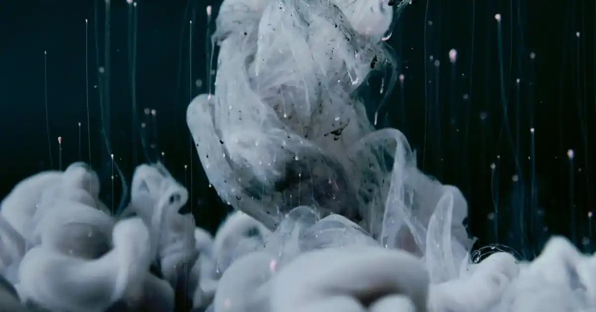 Tohum Yağları Nedir ve Sağlığa Faydaları ile Potansiyel Riskleri Nelerdir