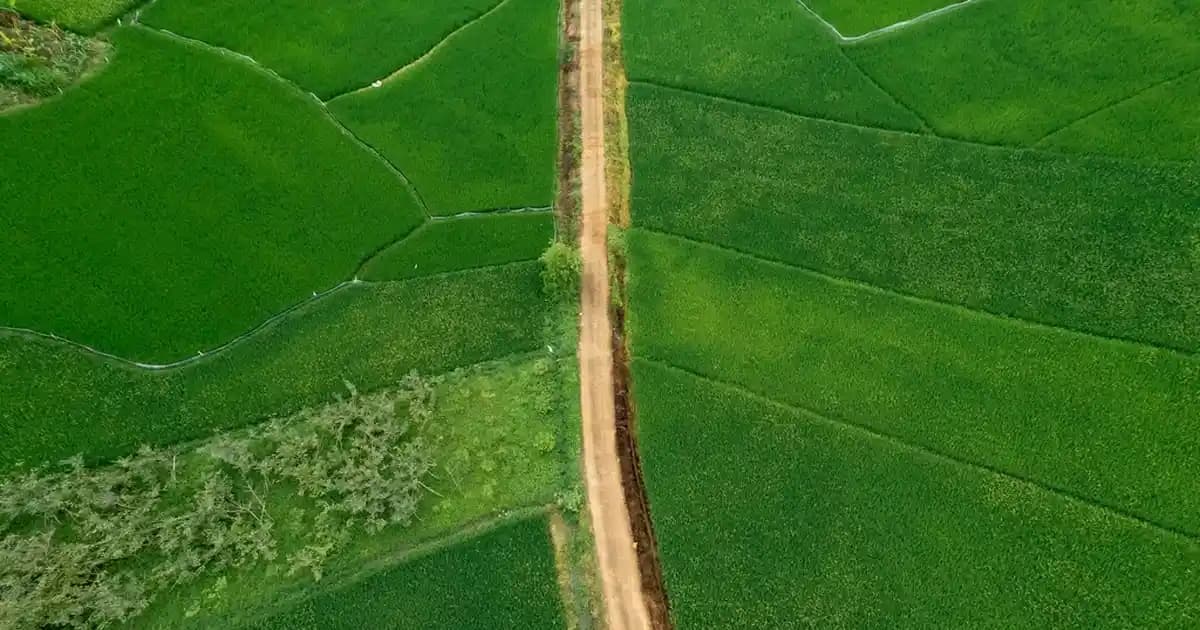 Toptancı Marketler ve Güncel Trendler: Ekonomik ve Pratik Toplu Alışveriş Çözümleri