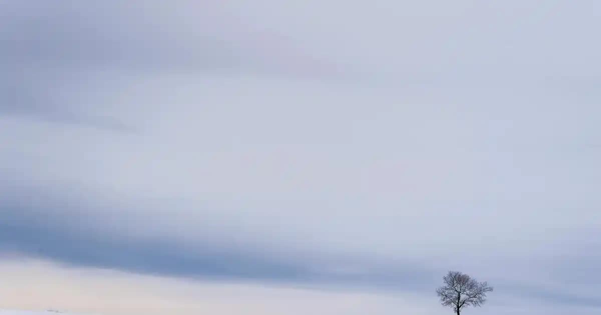 Toronto'da 2025 Yılında Saatlik Ücretler ve Süpermarket Fiyatlarındaki Yansımalar