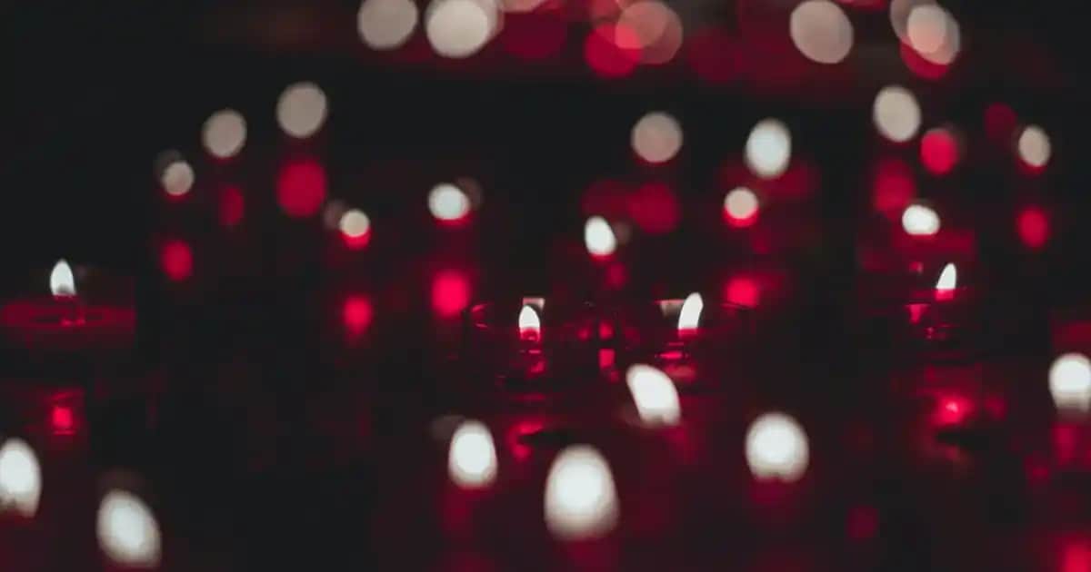 Tunturi TM 100 ile Evde Güçlendirme ve Fitness İçin Çok Fonksiyonlu Spor Ekipmanı