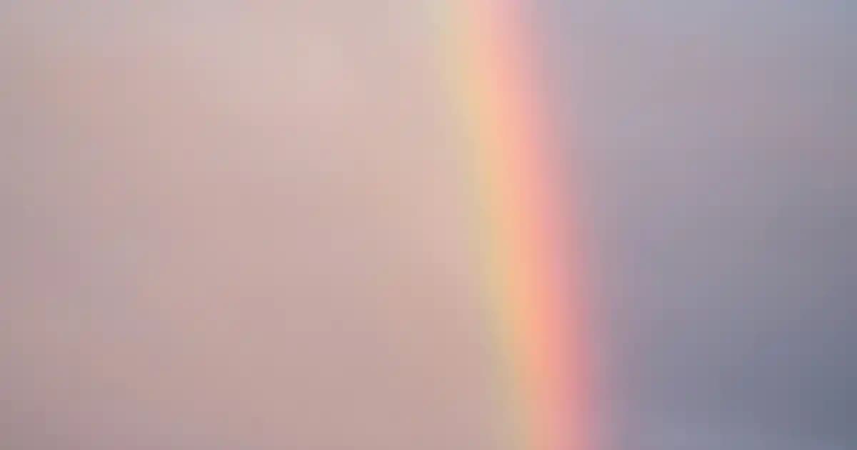 2025'te Türkiye’de Durian Meyvesi: Egzotik Tatların Gizemli Dünyasına Yolculuk