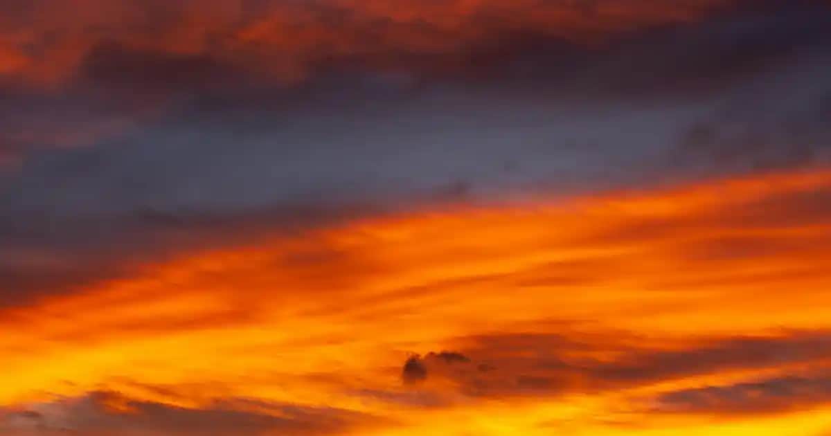 Türkiye’de Süpermarketlerde Un Çeşitleri ve Günlük Yaşamda Önemi