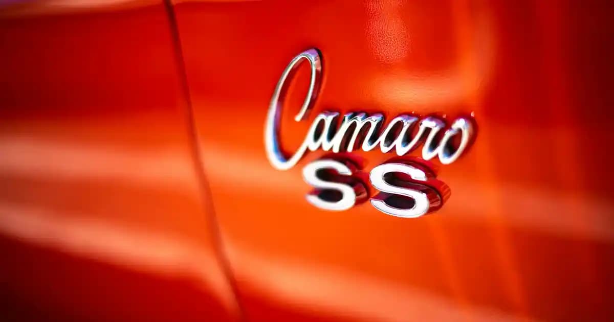 Tuvalet Terimleri ve Çeşitleri: Günlük Hayattaki Kullanım ve Kökenleri